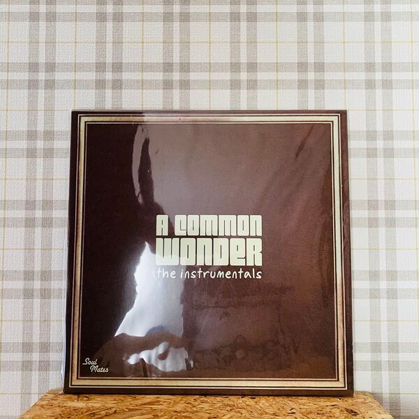 【レコード】A COMMON WONDER INSTRUMENTALS(2LP)