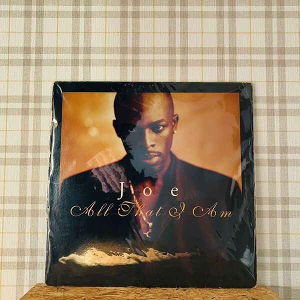【レコード】Joe / All That I Am