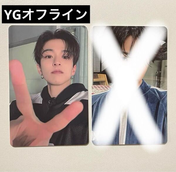 treasure シーグリ 2025 アサヒ YG オフライン トレカ