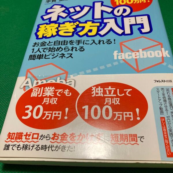 ゼロから月収100万円!ネットの稼ぎ方入門 お金と自由を手に入れる!1人で始められる簡単ビジネス 平賀正彦/著