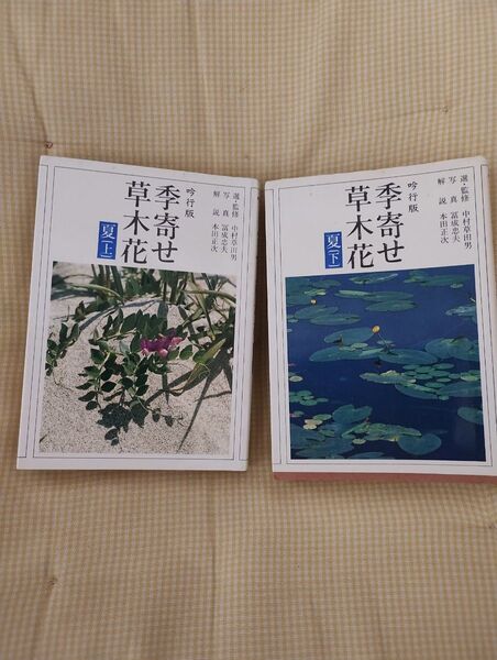 吟行版 季寄せ 草木花 夏 上下 朝日新聞社