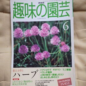 NHK趣味の園芸 1995 4月 ハーブ 1999 6月 エビネ 何れか1冊のみ