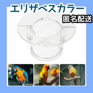 エリザベスカラー 鳥 インコ オウム 毛引き 自咬症 自傷行為【値引き不可】【即購入禁止!購入前にコメント必須】