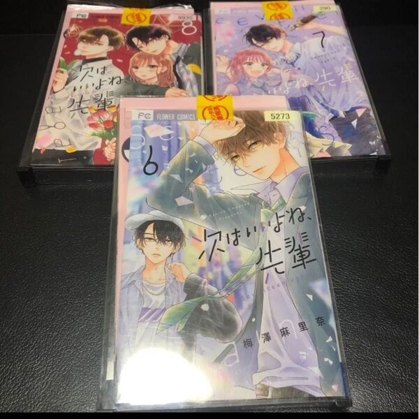 次はいいよね、先輩 Seventeen again 6巻 7巻 8巻 恋愛 漫画 マンガ コミック