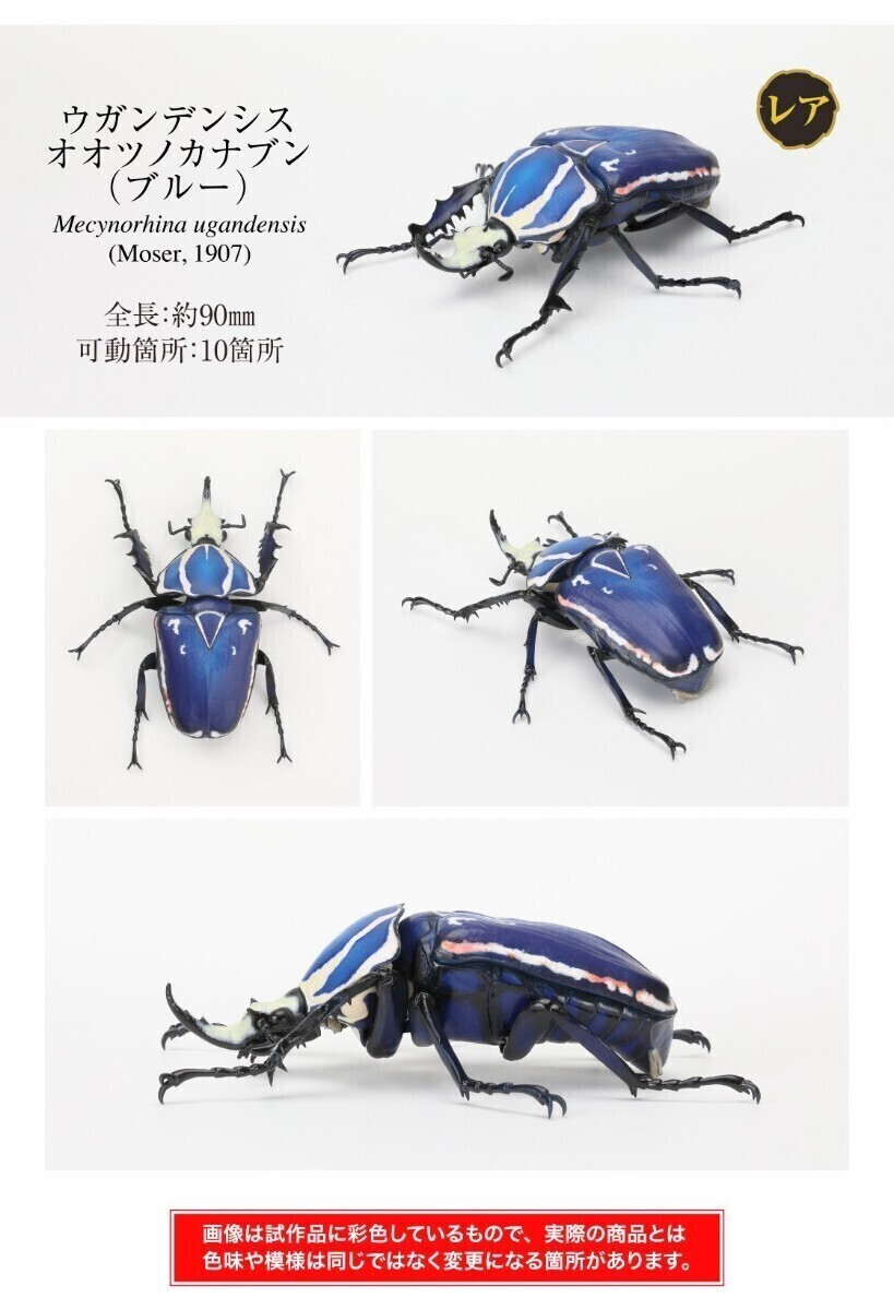 Yahoo!オークション -「カナブン ブルー」(ペット、生き物) の