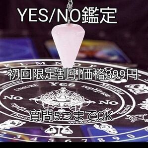 YES/NOダウジング鑑定質問5つ399円