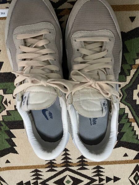 NIKE ペガサス