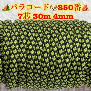 ☆★パラコード★☆7芯 30m 4mm☆★250番★手芸とアウトドアなど用