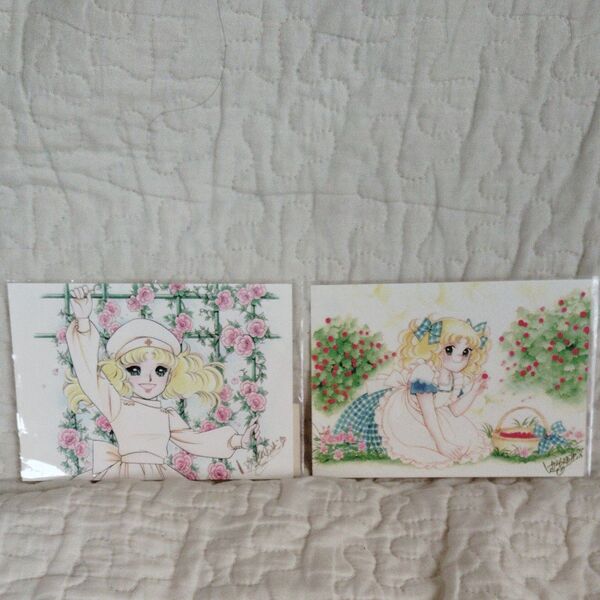 キャンディキャンディ いがらしゆみこ 原画 ポストカード