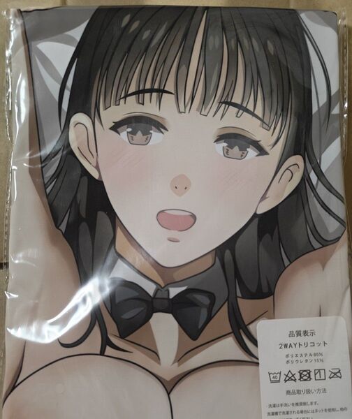 抱き枕カバー 虎尾なるみ
