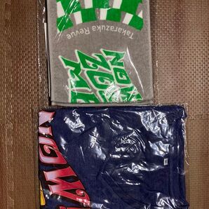 新品 望海風斗 MEGA LIVE TOUR『NOW! ZOOM ME!!』タオル、Tシャツセット 宝塚歌劇団 宝塚