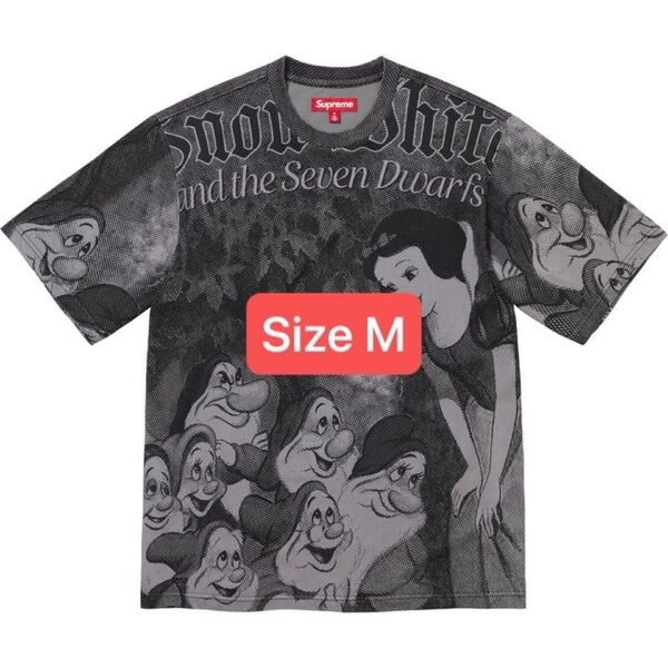 Supreme Snow White S/S Top "Grey"