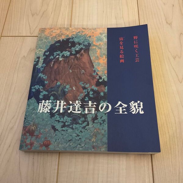 藤井達吉の全貌 図録