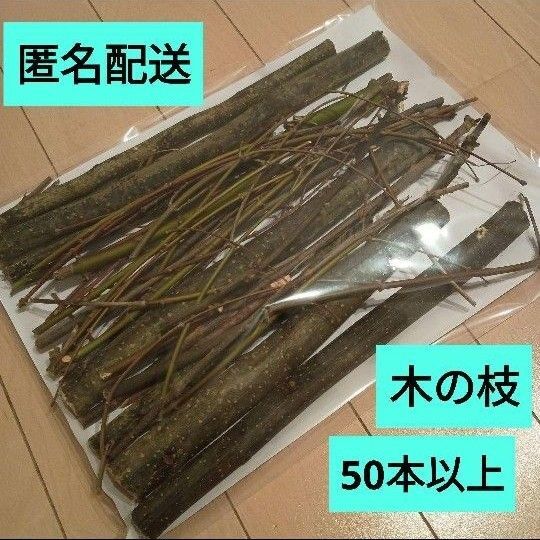木の枝 A4サイズビニール袋たくさん!!