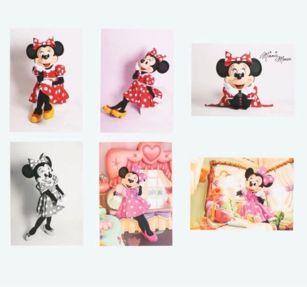 ミニー 写真 スペシャルフォト ミニーちゃん ディズニー 40周年 ディズニーランド スペフォ ミニーマウス フォト サイン