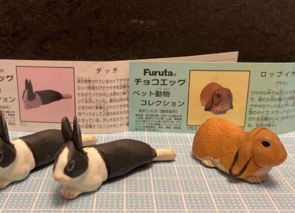 △ラスト1セット!フルタ チョコエッグ ペット動物コレクション ダッチ ロップイヤー ブラウン 海洋堂 フィギュア 松村しのぶ