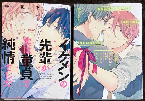 BL漫画 コミック 2冊セット 野花さおり
