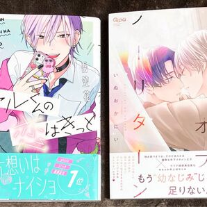 BL漫画 コミック 2冊セット 吾笠花 いぬおかにい