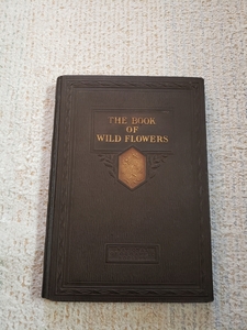 1924 year American . raw plant illustrated reference book [The Book of Wild Flowers]