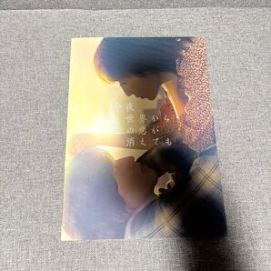 今夜、世界からこの恋が消えても パンフレット