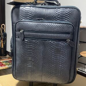 超豪華パイソン キャリーケース