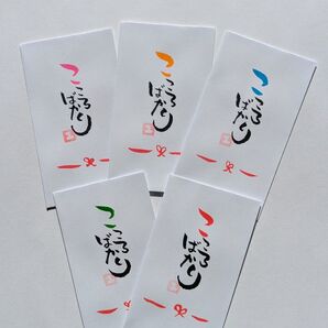 筆文字 ミニ封筒 ポチ袋 書道