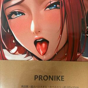 【コードギアス】 紅月カレン 105×55 抱き枕カバー タペストリー 超大バスタオル