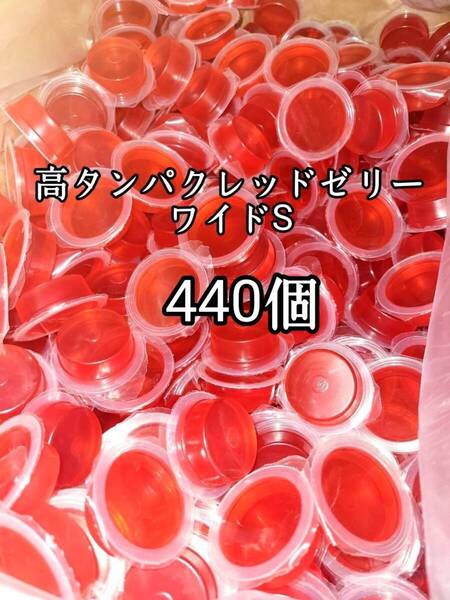 昆虫ゼリー 高タンパクレッドゼリー17g 440個 オオクワ カブトムシ 小動物 モモンガ ハリネズミ ハムスター ドルクスゼリー プロゼリー