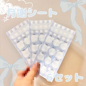 *・月謝シート6枚セット入り 家計管理 積立シート *°