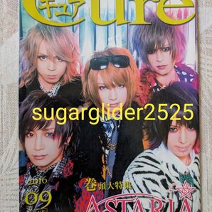 美品!希少!貴重冊子!Cure V-splash Vol.36★ASTARIA / シュヴァルツカイン