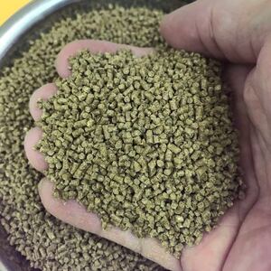 鶏の栄養補給おやつに乾燥サナギ250g入りタンパク質の強化に良く食べてくれます 日本代購代bid第一推介 Funbid 鶏の栄養補給おやつに乾燥サナギ250g入りタンパク質の強化に良く食べてくれます 日本代購代bid第一推介 Funbid