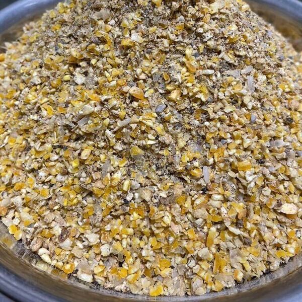 トウモロコシ強化バージョン 鶏の餌 成鶏用 採卵用に最適な餌 1kg 送料無料