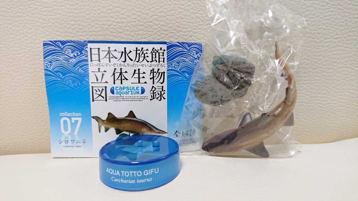 2025年最新】Yahoo!オークション -日本水族館立体生物図録1の 2025年最新】Yahoo!オークション -日本水族館立体生物図録1の