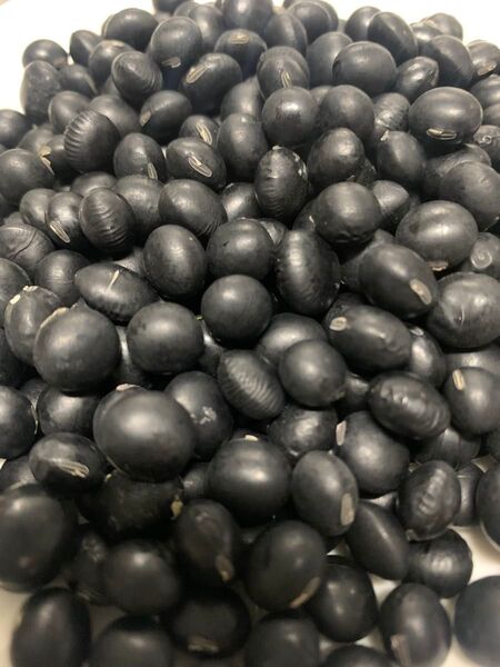 黒大豆 黒豆 北海道産黒大豆 北海道産黒豆 乾燥野菜 豆類 農薬不使用栽培大豆
