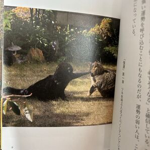ニャンでもやればできる (深見東州の言葉シリーズ) 深見東州/著