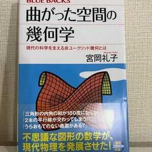 曲がった空間の幾何学 現代の科学を支える非ユークリッド幾何とは (ブルーバックス B-2023) 宮岡礼子/著