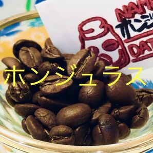 Qグレード コーヒー豆 300g ★ ホンジュラス SHG ★ Star Beans YouCoffee