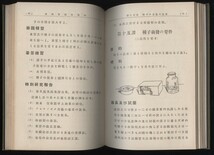 博物実験室案内 全　棚橋源太郎・糟谷美一著　大正3年　　：科学実験・昆虫実験・植物実験・人体_画像5