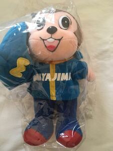  boat . island mascot monta soft toy rice field middle confidence one . player autographed 