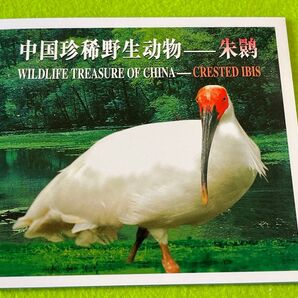 中国記念硬貨 珍希野生動物シリーズ-朱鷺(トキ) 記念硬貨 1997年 中国人民銀行