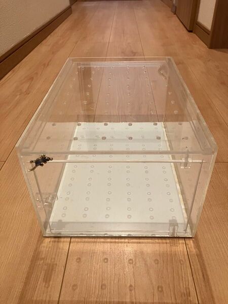 レプタイルボックス