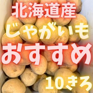 おすすめっ! じゃがいも 10kg 02