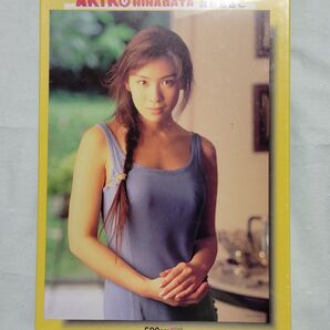 【超希少品!】雛形あきこ ジグソーパズル 500ピース