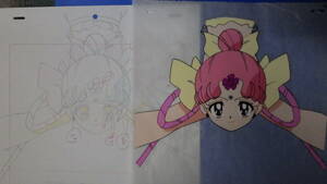  cell picture / Sailor Moon /Y155