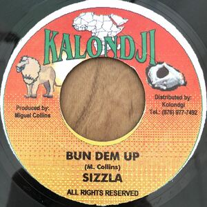 送料無料★レア シズラ人気曲!! BUN DEM UP / SIZZLA★レゲエレコード大量出品中