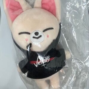 スキズ Stray Kids アイエン ぬいぐるみ