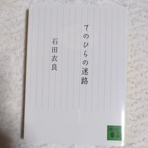 てのひらの迷路 (講談社文庫) 石田 衣良 9784062759083