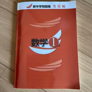 新中学問題集発展編数学1年