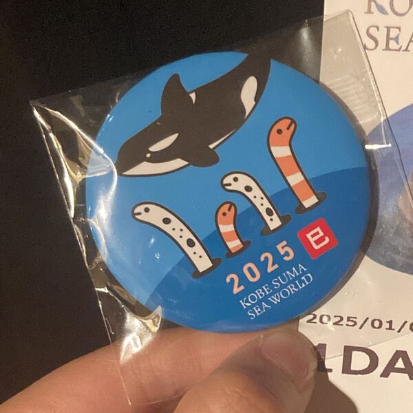 須磨シーワールド 缶バッジ ノベルティ