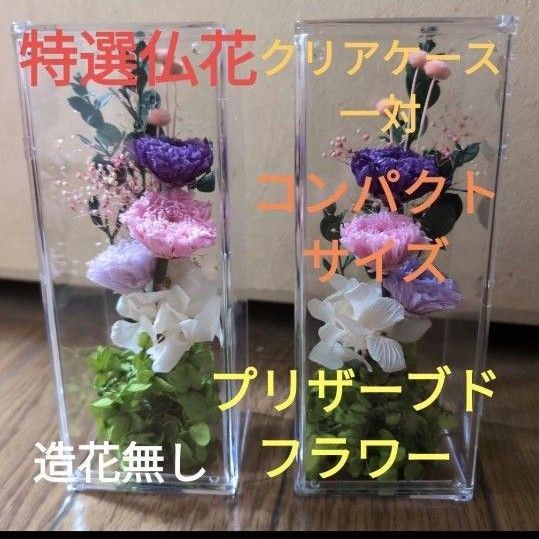 特選仏花 クリアケース入り 造花無し コンパクトサイズ一対 プリザーブドフラワー